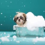 A dog sitting in a tub of soap on top of the floor.